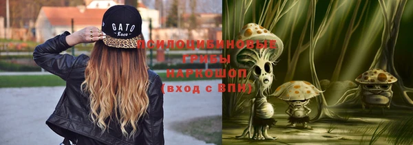 гашик Лиски