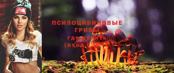 ПСИЛОЦИБИНОВЫЕ ГРИБЫ Лихославль