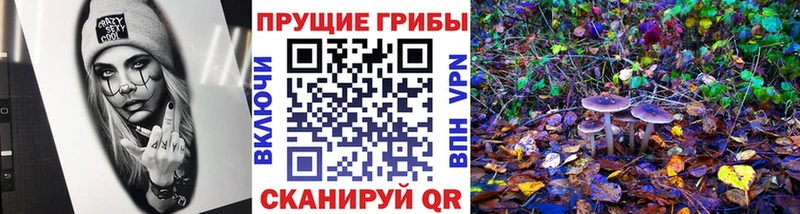 Псилоцибиновые грибы GOLDEN TEACHER  Чулым 